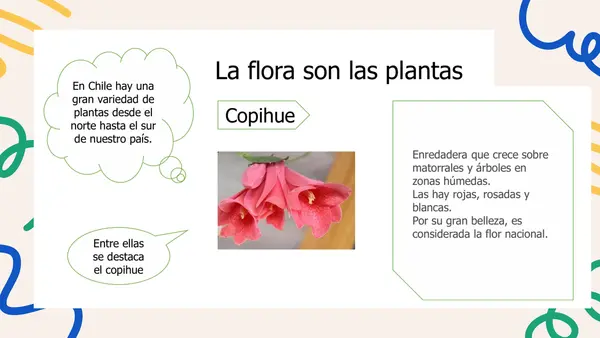 FLORA Y FAUNA DE CHILE - PRIMERO BÁSICO