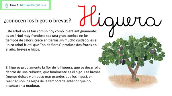Lección 8 Higuera Parte 2 Mayusculas Método Matte