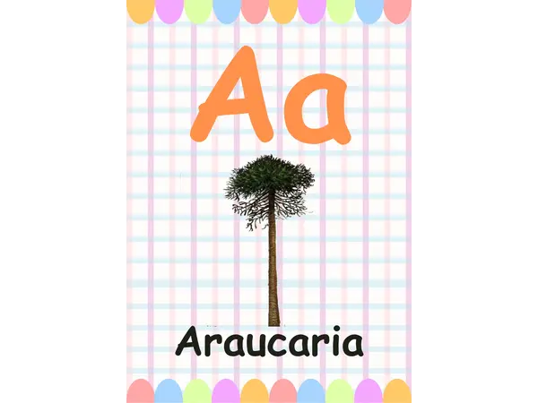 Abecedario Chilena
