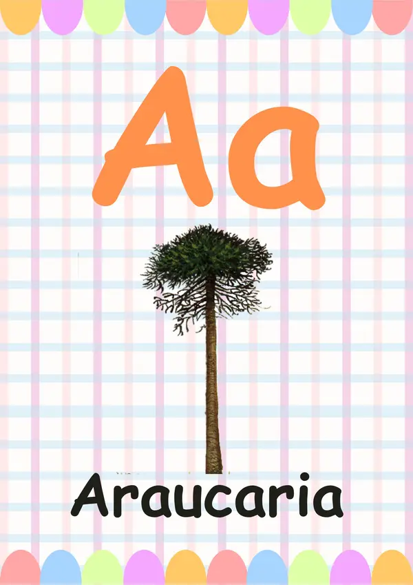 Abecedario Chilena