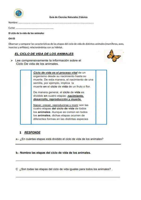 ciclo de la vida