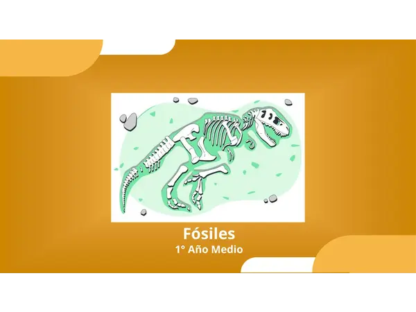 Fósiles