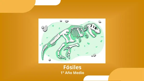 Fósiles