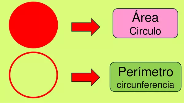 Área y Perímetro de circulo y circunferencia