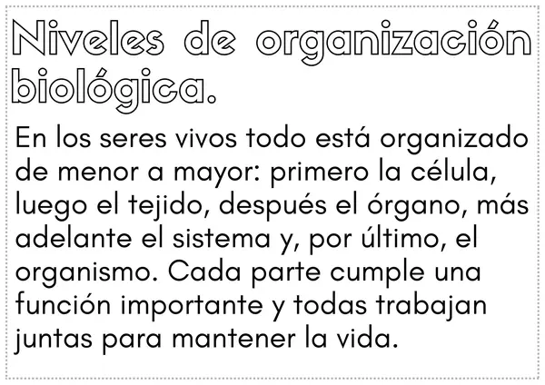 De la célula al organismo – Flap Book y Carteles Informativos