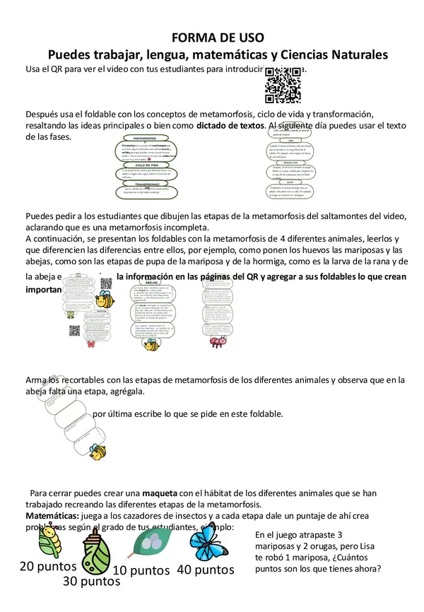 UNIDAD DIDÁCTICA METAMORFÓSIS