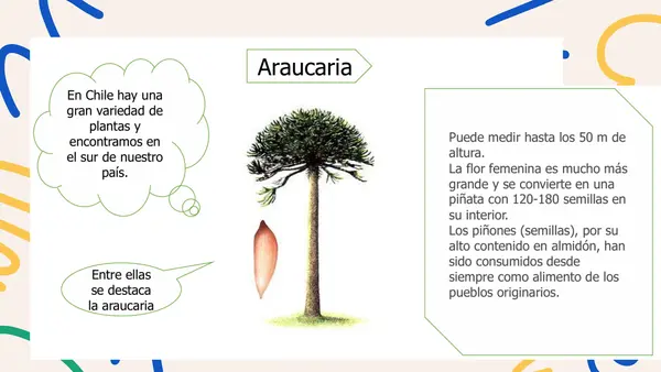 FLORA Y FAUNA DE CHILE - PRIMERO BÁSICO