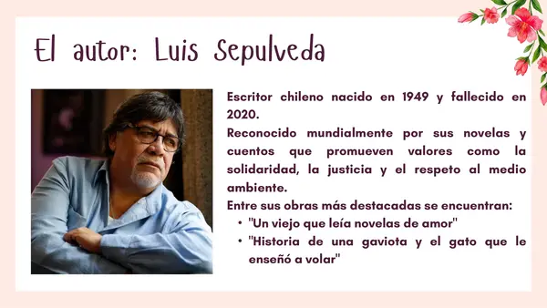 Contextualización Historia de una gaviota 