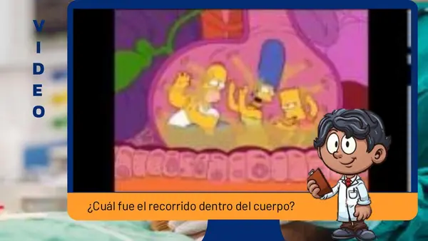 EL APARATO DIGESTIVO