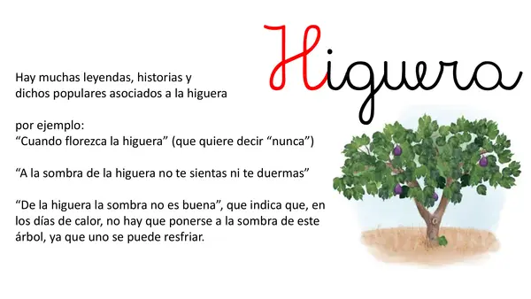 Lección 8 Higuera Parte 2 Mayusculas Método Matte