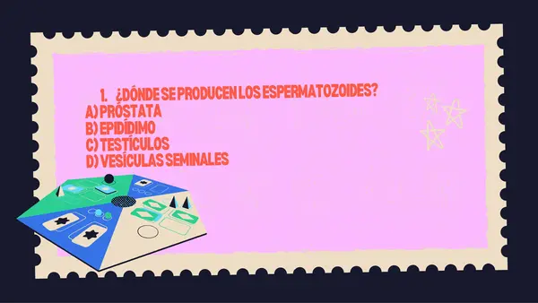 Juego Interactivo, SISTEMAS REPRODUCTORES