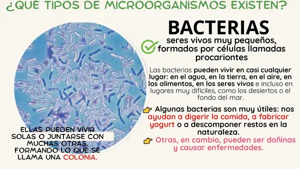 Esquema de apoyo para clases o estudiar MICROORGANISMOS