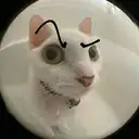 Sebastián Espinoza - @sebastian.espinoza