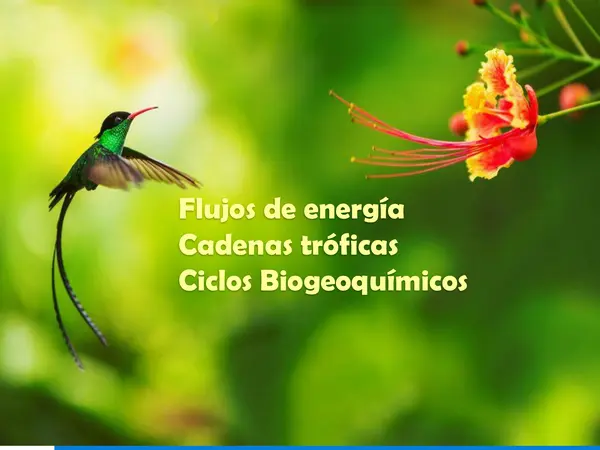 Clase de flujos de energía 