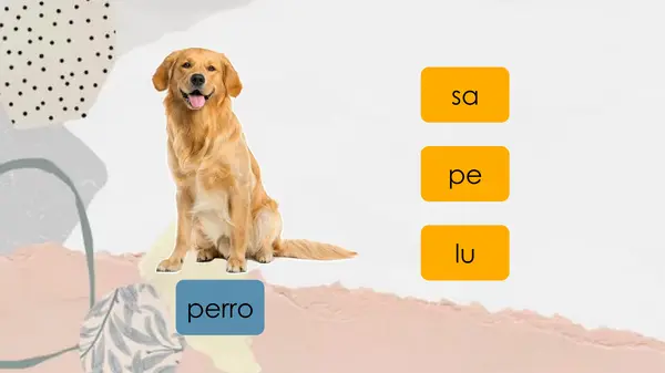Repaso conciencia fonologica