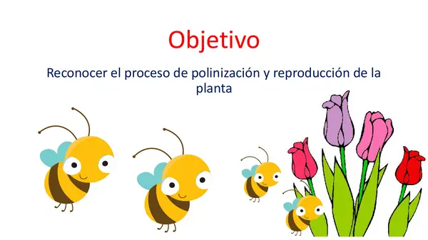 La polinización 