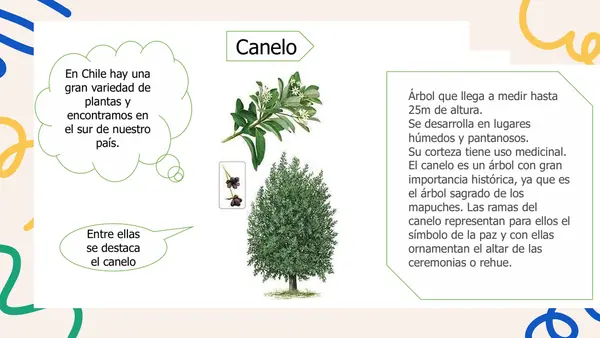 FLORA Y FAUNA DE CHILE - PRIMERO BÁSICO