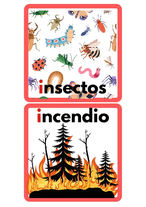 Tarjetas Vocal I
