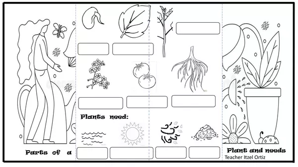 PARTS OF A PLANT AND NEEDS VOCABULARY