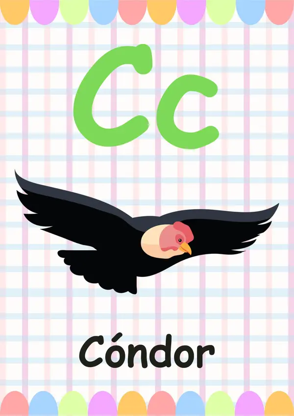Abecedario Chilena