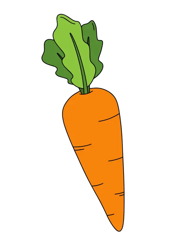  VERDURAS REVERSIBLES