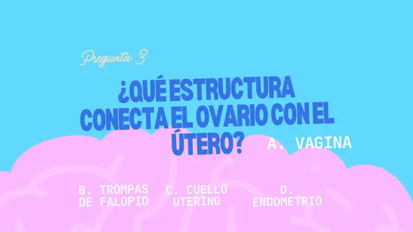 Juego Interactivo, SISTEMAS REPRODUCTORES