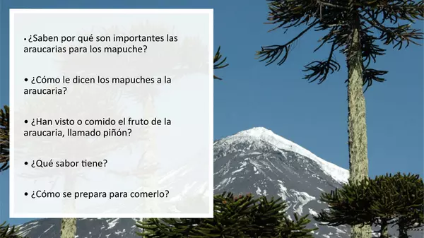 Presentacion Leyenda el Pehuen, Sexto Basico
