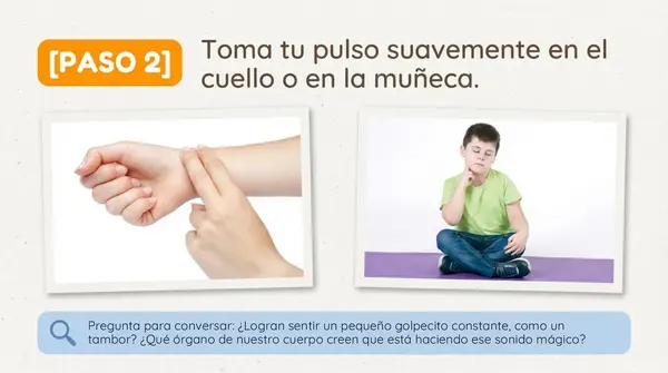Clase 2 Lección 1 Unidad 1 "Cuidemos nuestro cuerpo" - 2° básico