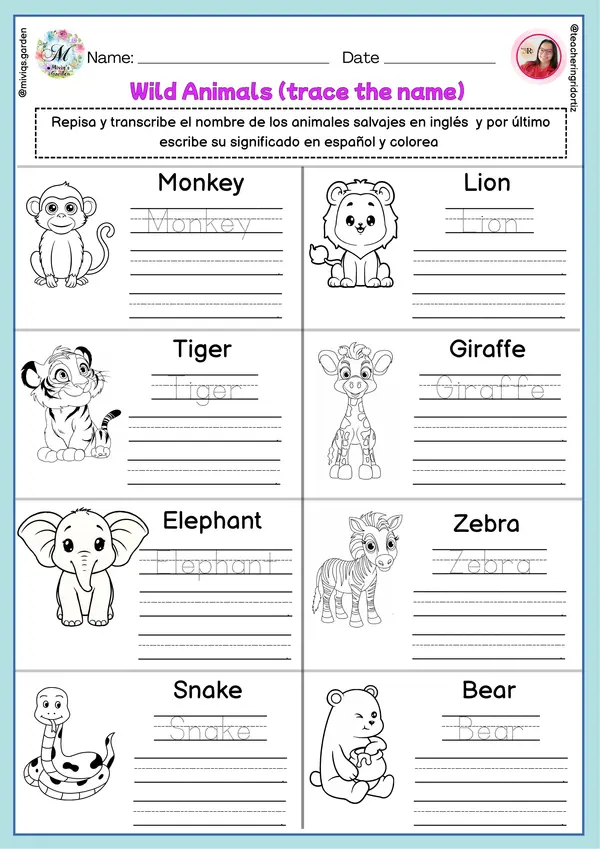 Learning English: Wild Animals (Inglés y español)