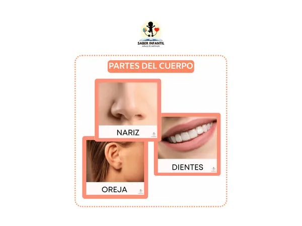 PARTES DEL CUERPO