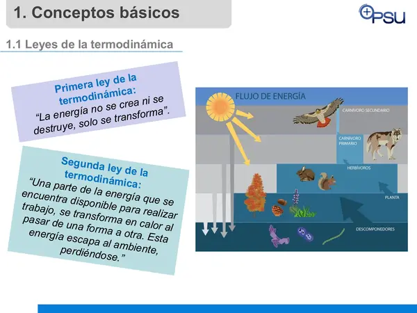 Clase de flujos de energía 