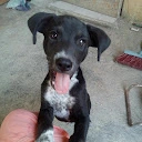 amairany fernandez itzab - @amairany.fernandez.it