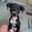 amairany fernandez itzab - @amairany.fernandez.it