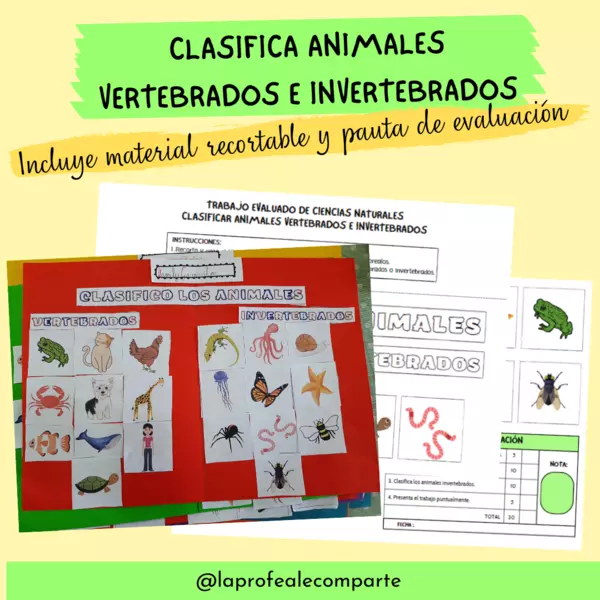 Clasificar animales vertebrados e invertebrados - Material para trabajo evaluado