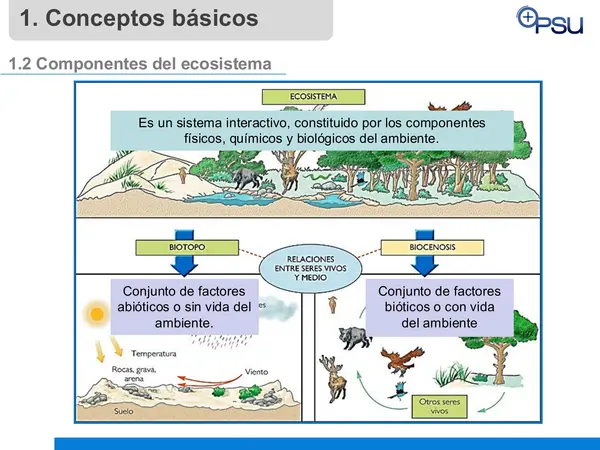 Clase de flujos de energía 
