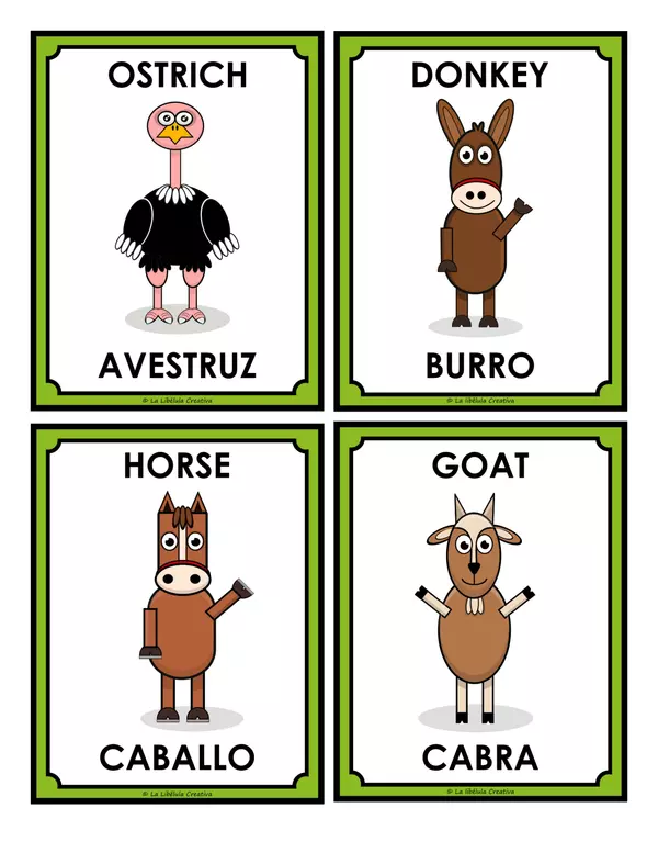 Flash Cards Farm Animals Biligual English Spanish 