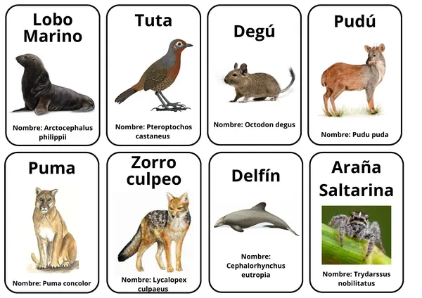 Seres vivos Chilenos
