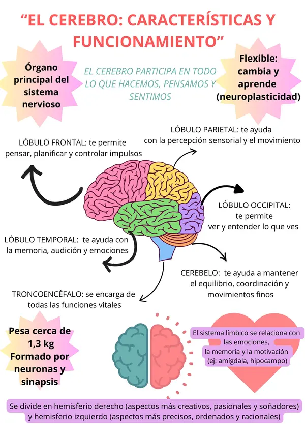 what is reinforcement in learning process