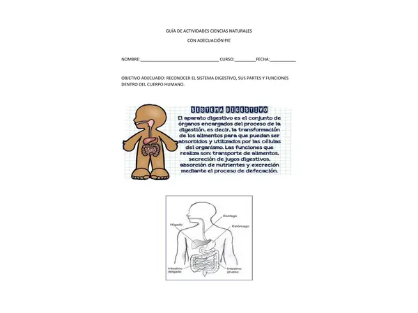 GUÍA DIFERENCIADA DE CIENCIAS NATURALES