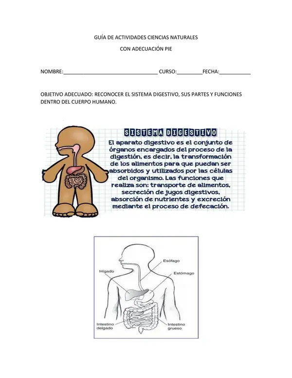 GUÍA DIFERENCIADA DE CIENCIAS NATURALES