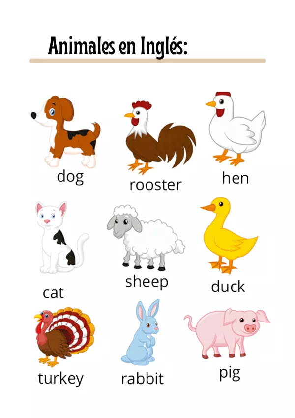 Fichas De Vocabulario De Los Animales En | lupon.gov.ph