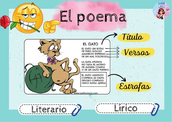 Set de Láminas Ilustradas: Tipos de Textos (Estructura y Clasificación)