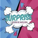 Surprise Papelería - @surprise.papeleria
