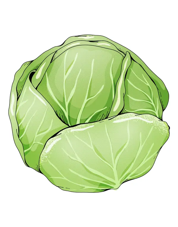  VERDURAS REVERSIBLES