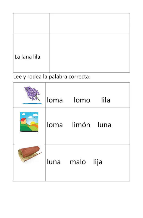 guía método Matte lección loro guia practica