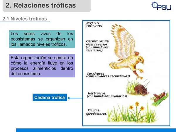 Clase de flujos de energía 