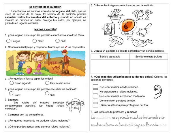 Guía 1° año "Sentido de la audición"