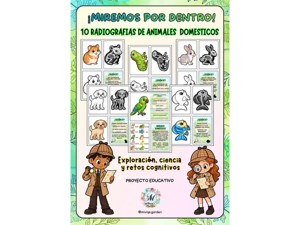 Proyecto Radiografías: Animales Domésticos