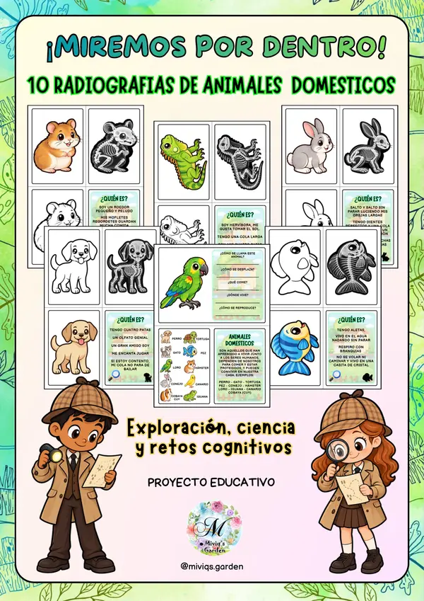 Proyecto Radiografías: Animales Domésticos