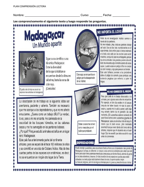 Comprensión lectora